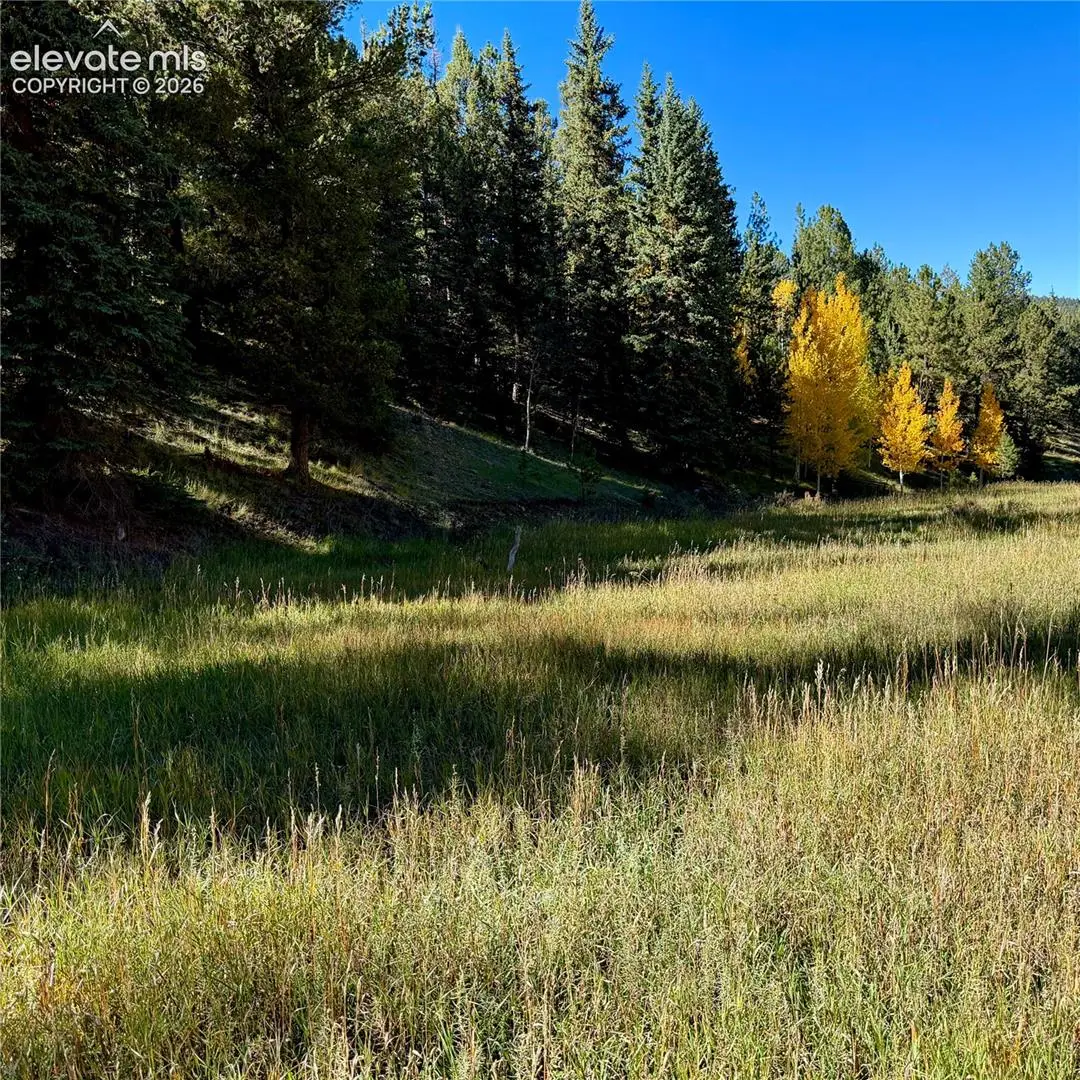 535 Willow Road, Divide, CO 80814 - #1