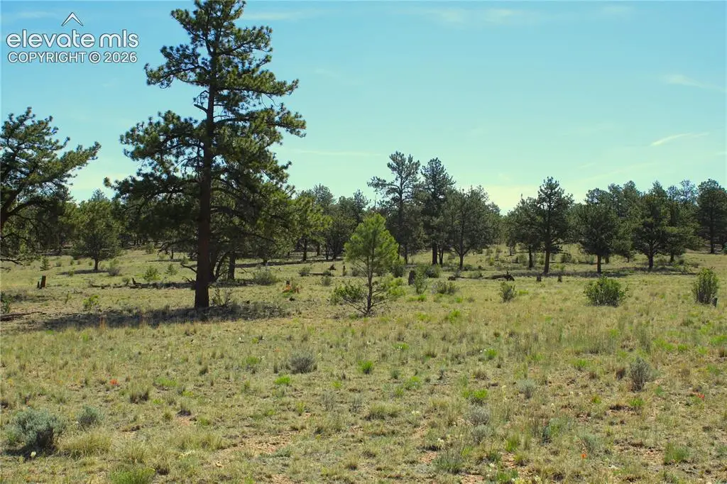 31572 Highway 9, Fairplay, CO 80449 - #1