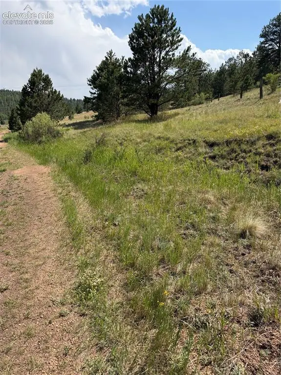 39 Rabbil Creek Trail, Florissant, CO 80816