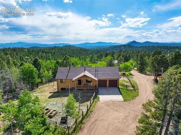 4269 Cedar Mountain Road, Divide, CO 80814