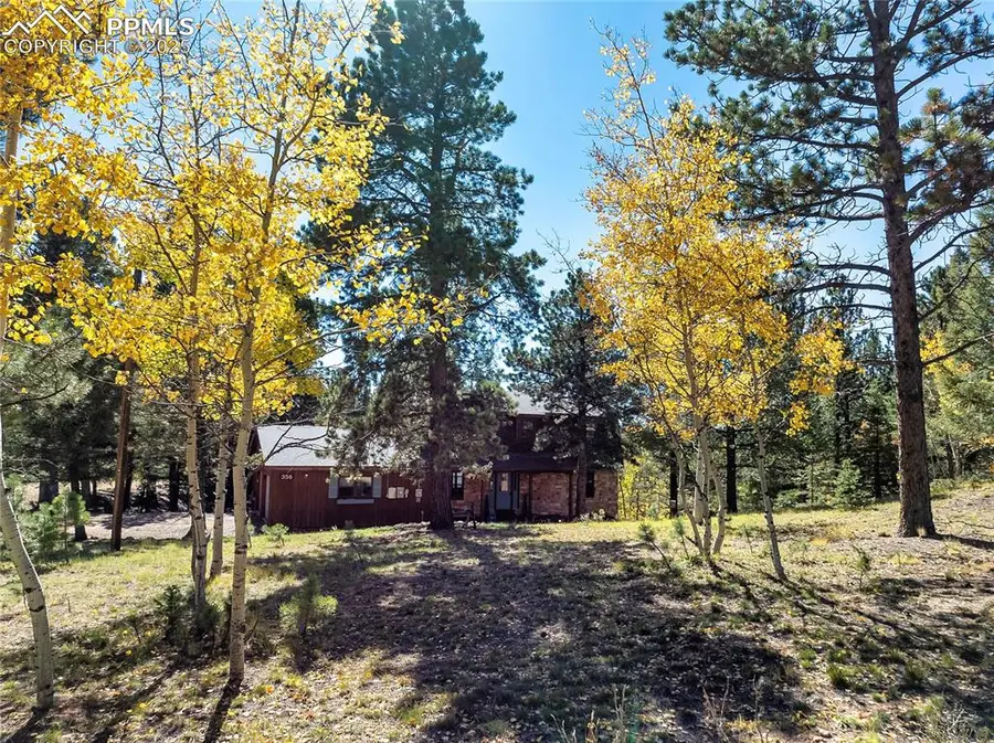 356 Spring Valley Drive, Divide, CO 80814 - #2