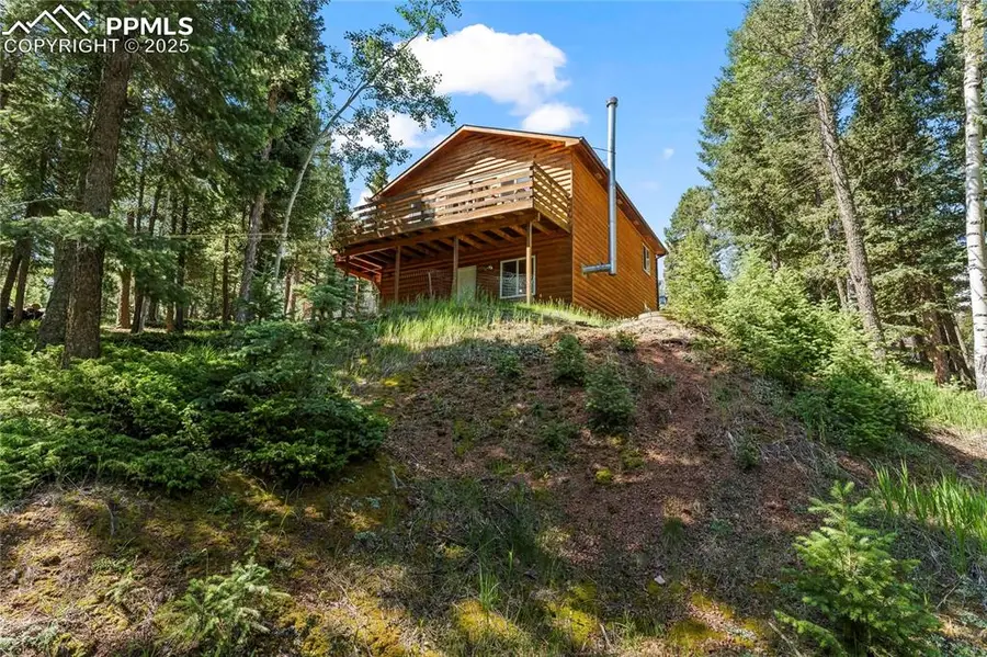 485 Donzi Trail, Florissant, CO 80816 - Image #3