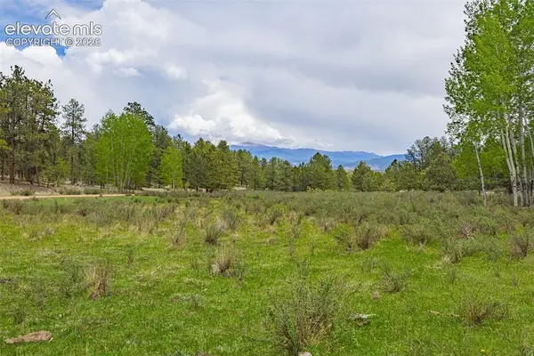 4250 Doe Valley Road, Guffey, CO 80820