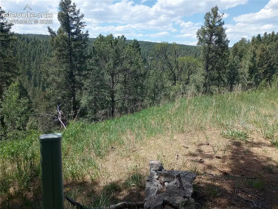 138 Glenwood Lane, Woodland Park, CO 80863 - #3