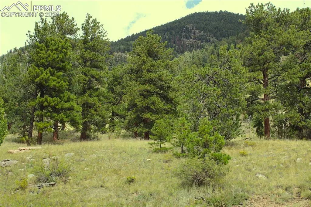 Highway 24, Lake George, CO 80827 - #1