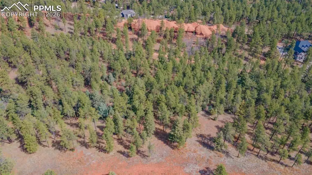 8257 Bannock Drive, Larkspur, CO 80118 - #1