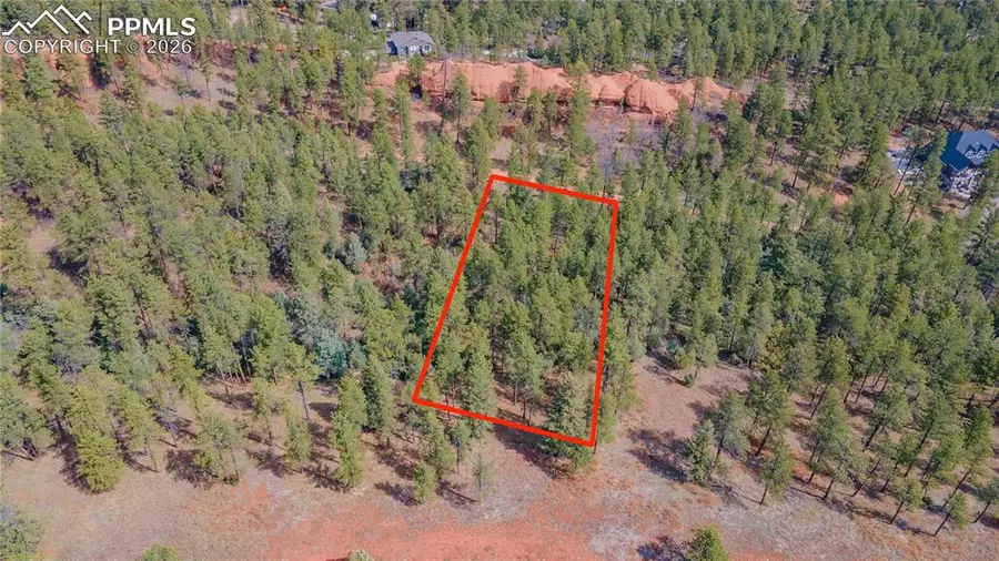 8257 Bannock Drive, Larkspur, CO 80118 - #2