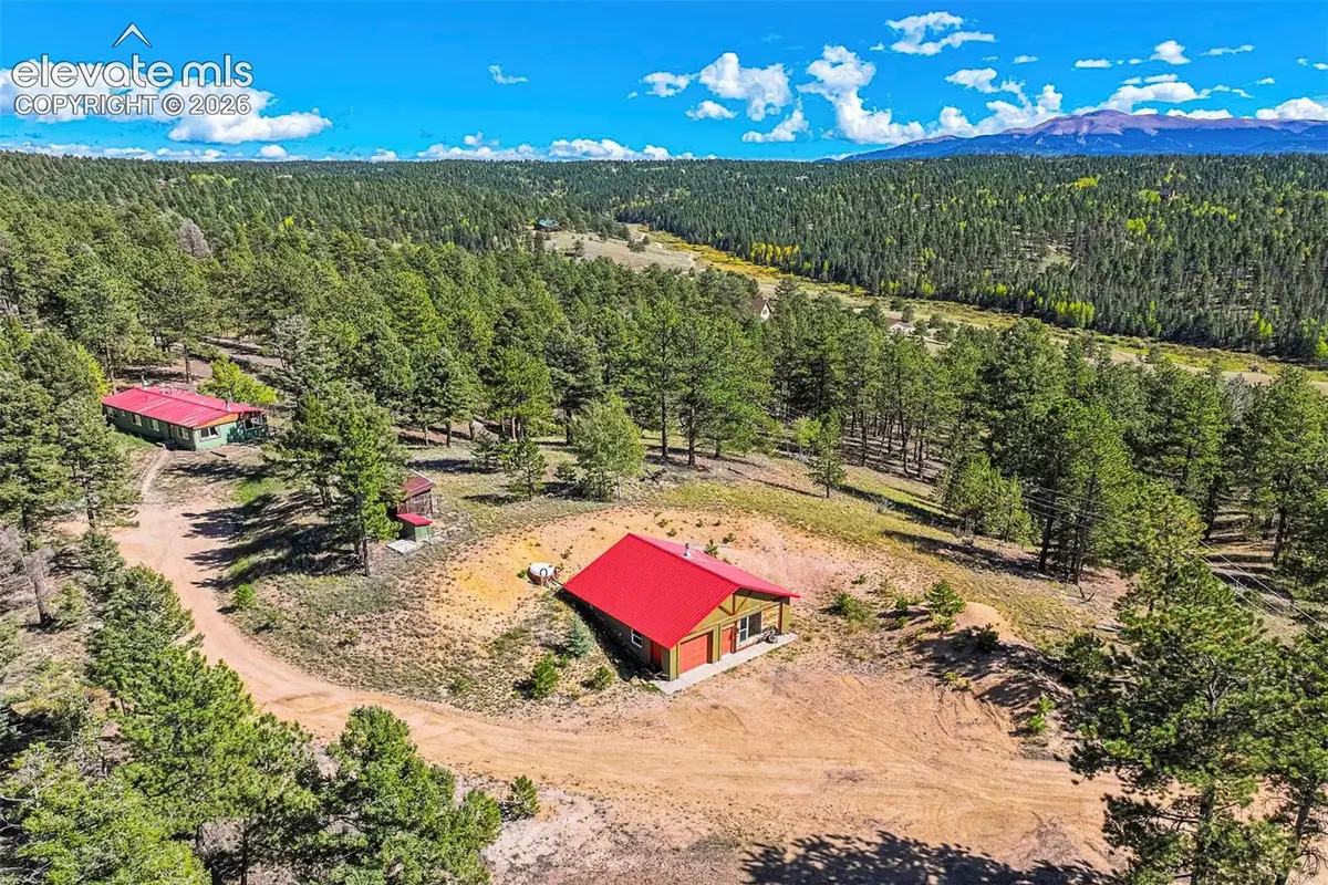 176 Chalk Circle Trail, Florissant, CO 80816 - #1