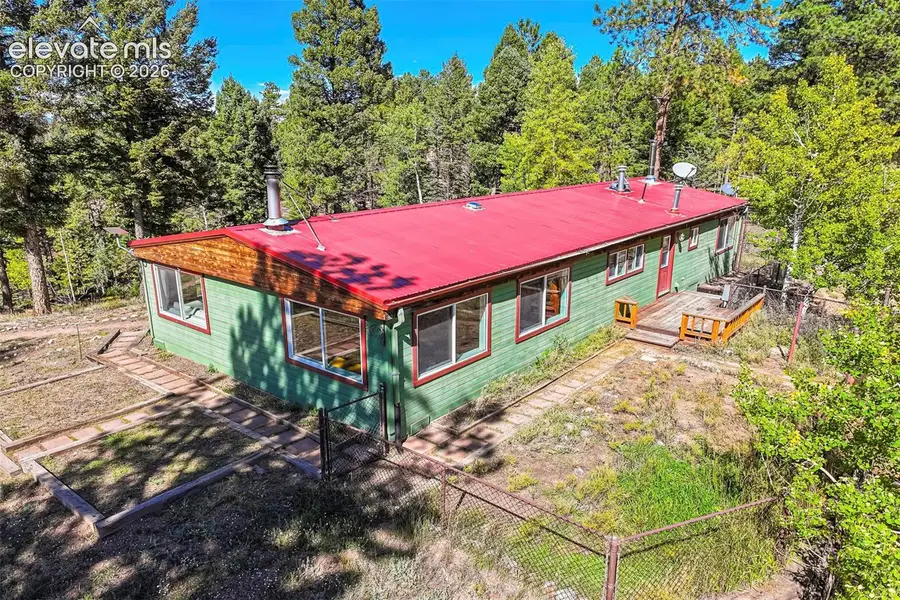 176 Chalk Circle Trail, Florissant, CO 80816 - #3