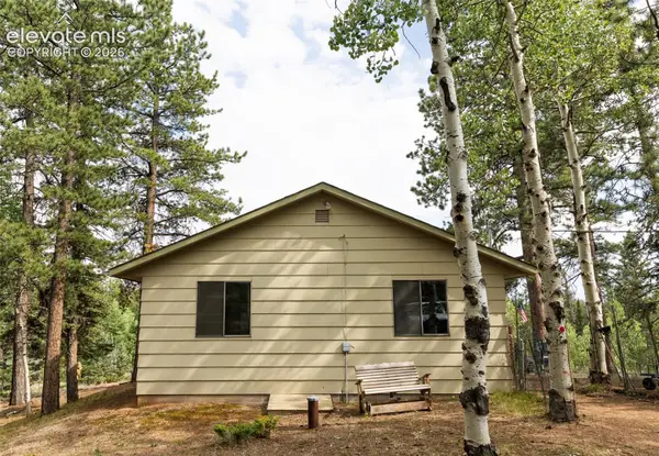 2644 Pathfinder Road, Florissant, CO 80816