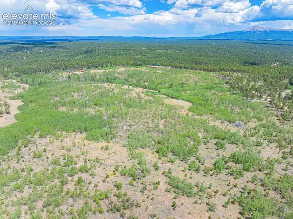 Unit 2 County Road 51, Florissant, CO 80816