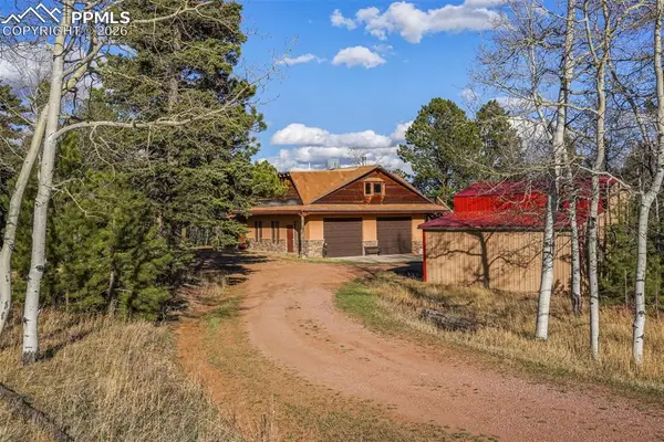 310 Ridge Road, Divide, CO 80814