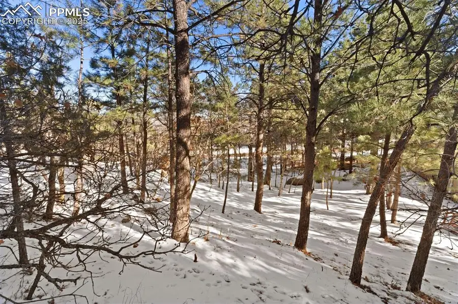 5960 Buttermere Drive, Colorado Springs, CO 80906 - #3