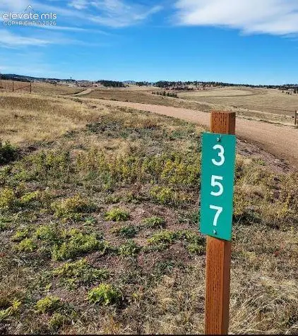 357 County Road 25, Divide, CO 80814 - #1