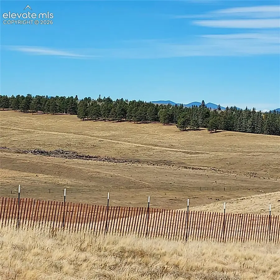 357 County Road 25, Divide, CO 80814 - #2