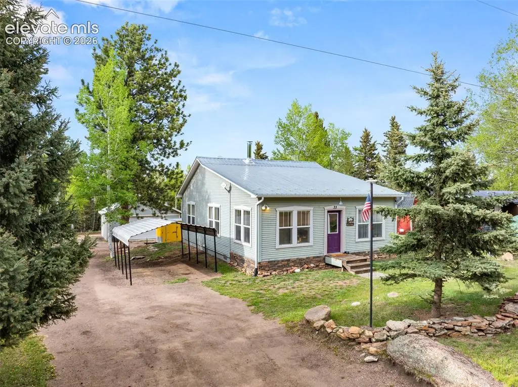 33 Maid Marian Drive, Divide, CO 80814 - #1