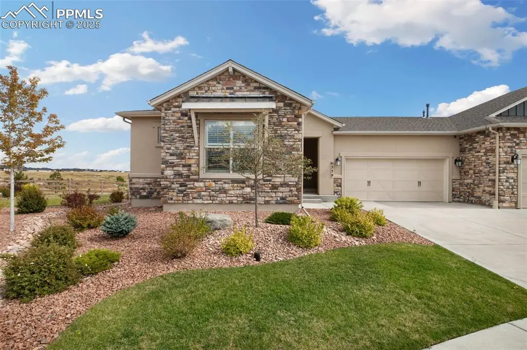 6339 Resplendent Court, Colorado Springs, CO 80924 - #1