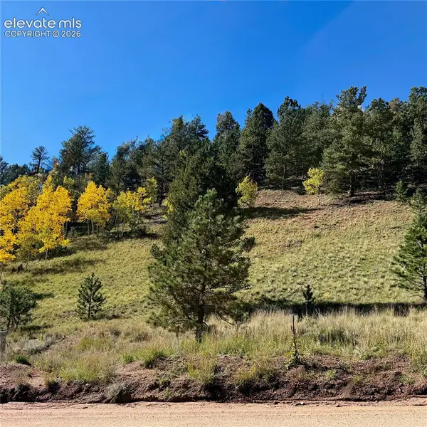 200 Beaver Pond Road, Divide, CO 80814