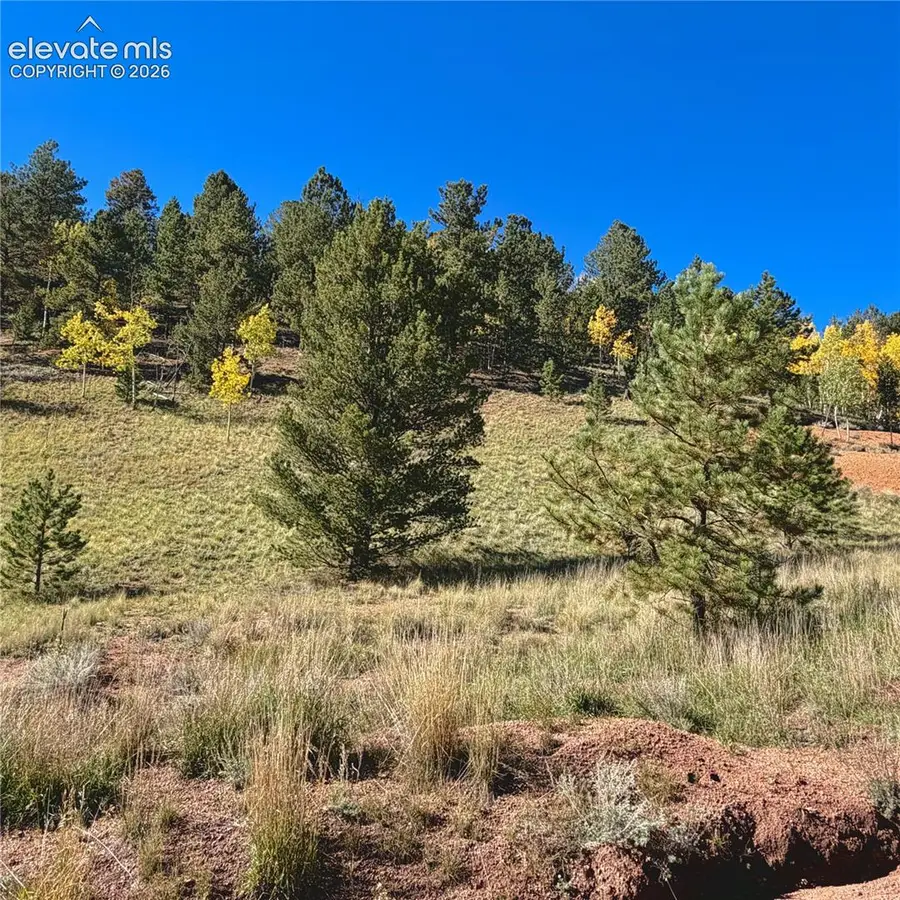 200 Beaver Pond Road, Divide, CO 80814 - #2