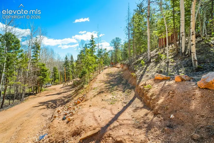 413 Wakanda Trail, Woodland Park, CO 80863 - #3