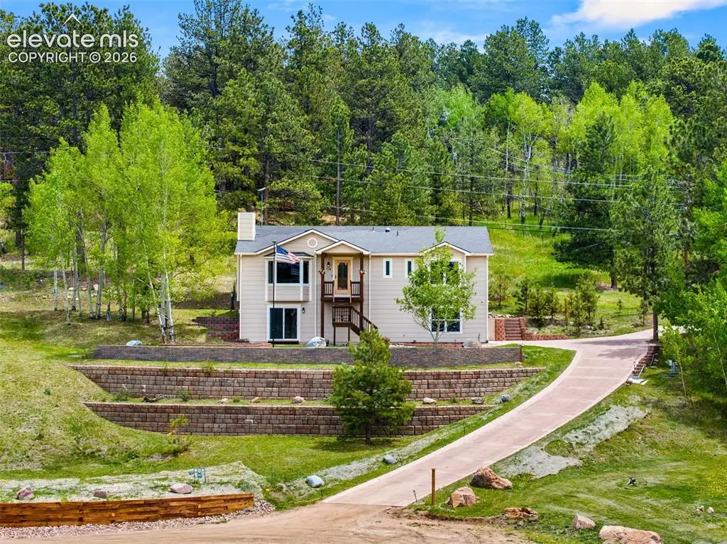 114 Lakewood Circle, Woodland Park, CO 80863 - #1