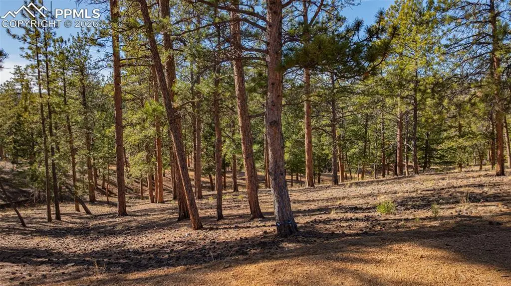 113 Schmittel Drive, Sedalia, CO 80135 - #1