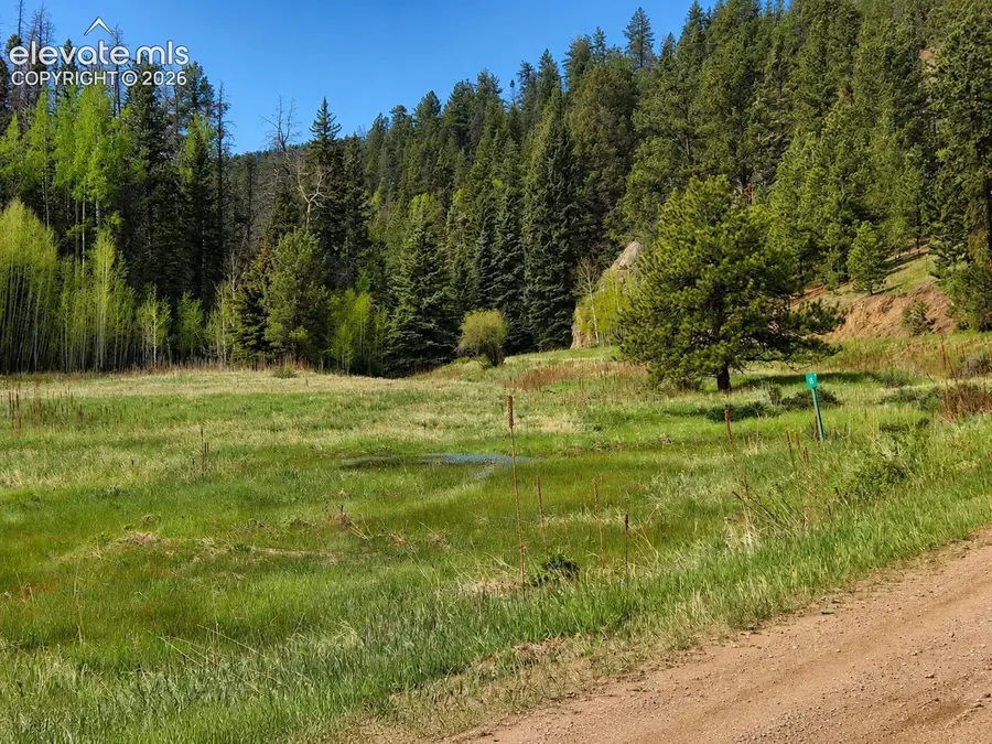 Lot 1 County Road 358, Westcliffe, CO 81252 - #2