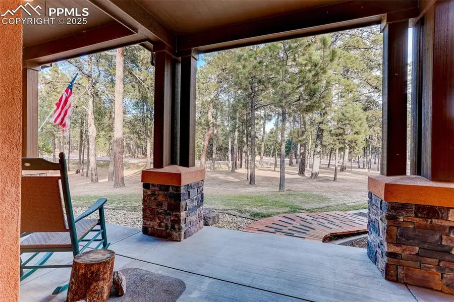 14994 Snowy Pine Point, Colorado Springs, CO 80908 - Image #3