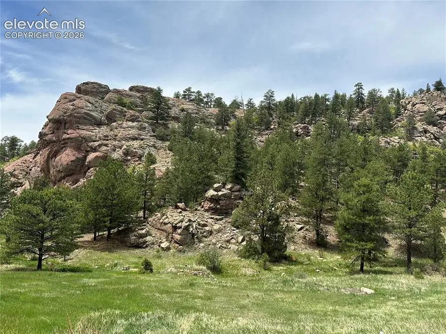 253 Bernard Creek Drive, Florissant, CO 80816 - #2