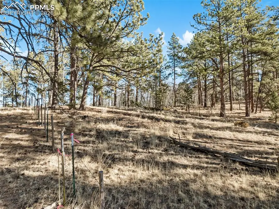 Lot 20 Echo Lake Drive, Lake George, CO 80827 - Image #2