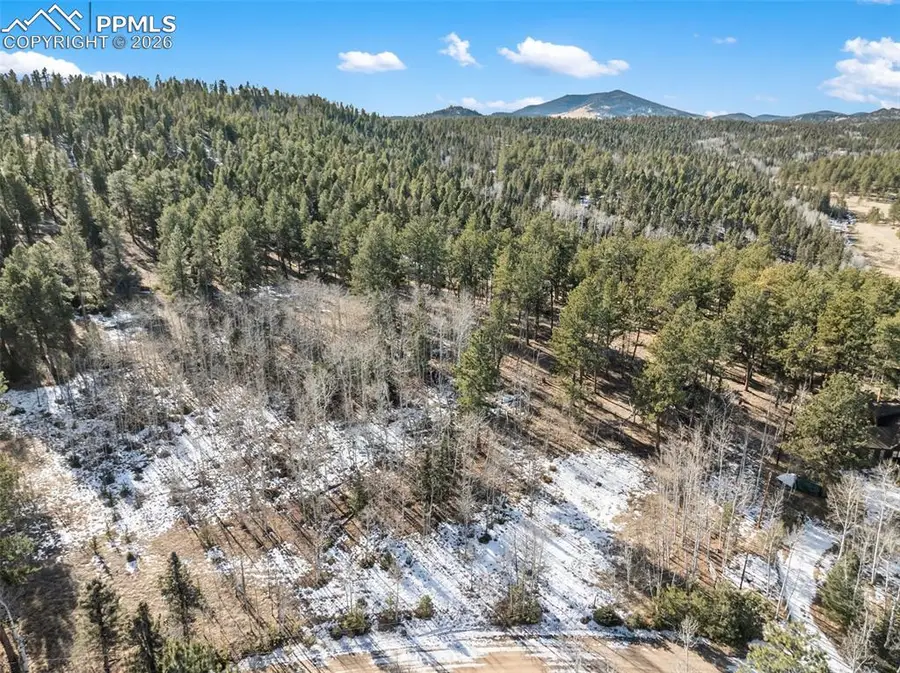 Lot 20 Echo Lake Drive, Lake George, CO 80827 - Image #3