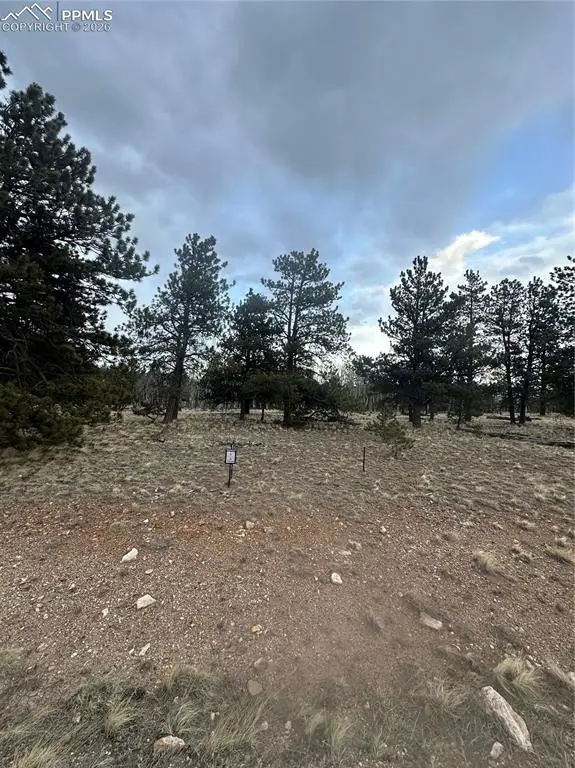 72 Sulky Court, Hartsel, CO 80449 - #1