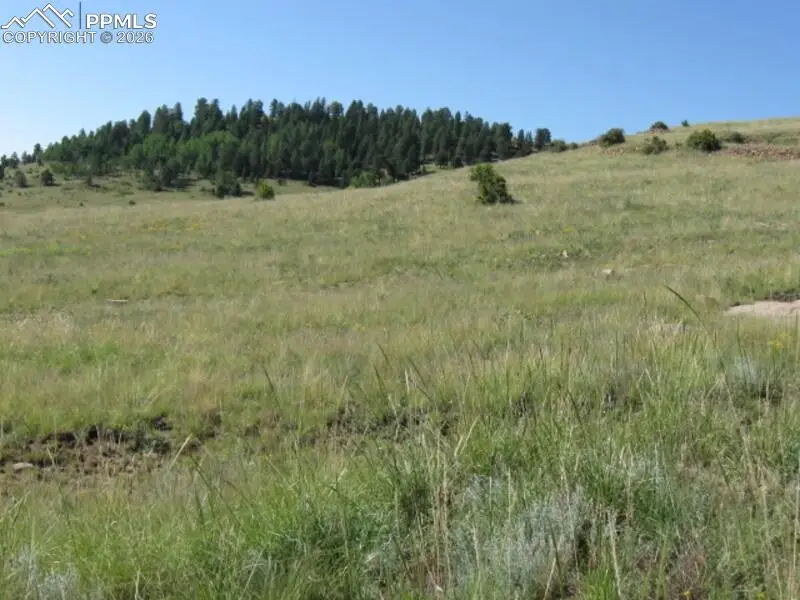 Lots 3-4 Shideler Avenue, Cripple Creek, CO 80813 - #1