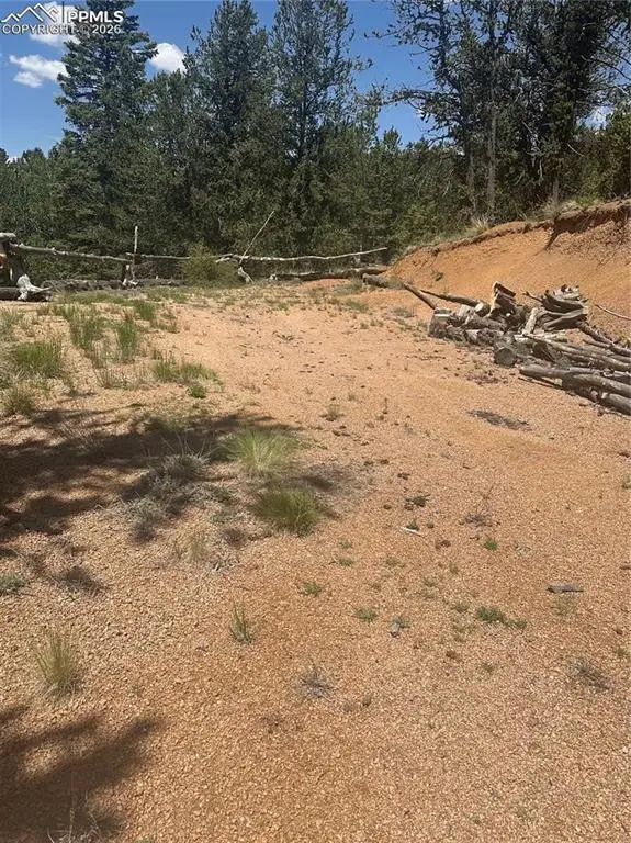 110 Brown Bear Lane, Cripple Creek, CO 80816 - #3