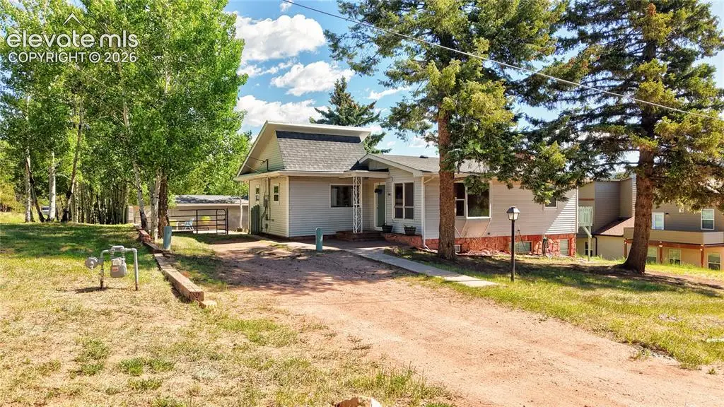 924 Spruce Haven Drive, Woodland Park, CO 80863 - #1