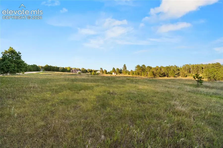 14745 W Kiowa Creek Lane, Colorado Springs, CO 80908 - #2