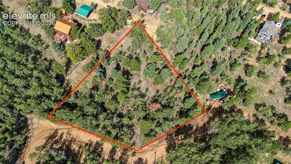 356 Wakanda Trail, Woodland Park, CO 80863