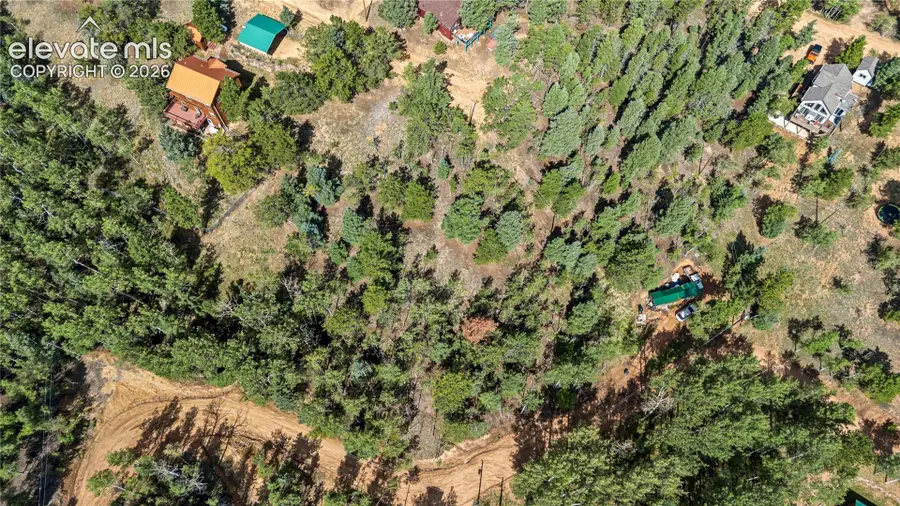 356 Wakanda Trail, Woodland Park, CO 80863 - #2
