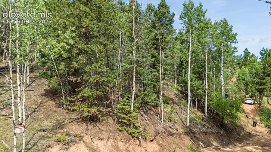 356 Wakanda Trail, Woodland Park, CO 80863 - #3