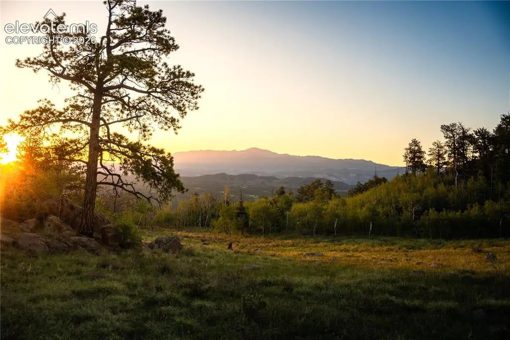 404 Valley Drive, Florissant, CO 80816 - #1