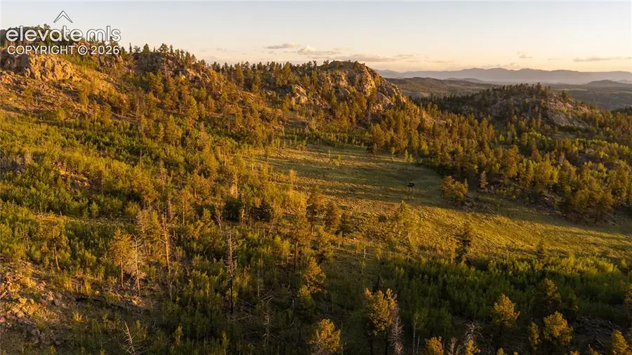 404 Valley Drive, Florissant, CO 80816 - #3