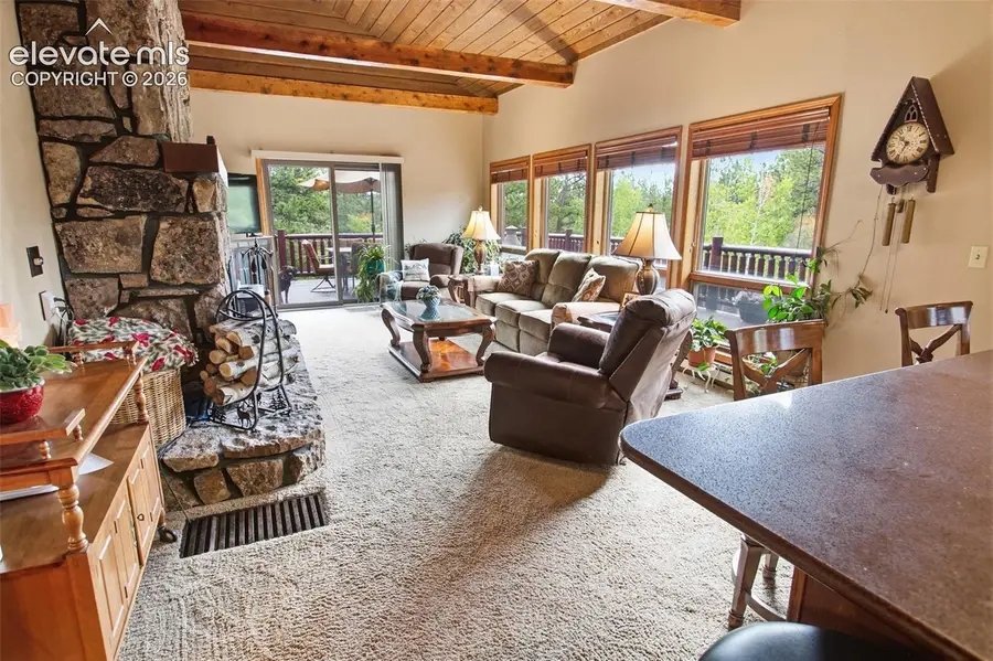 381 Saddleback Creek Drive, Florissant, CO 80816 - #2