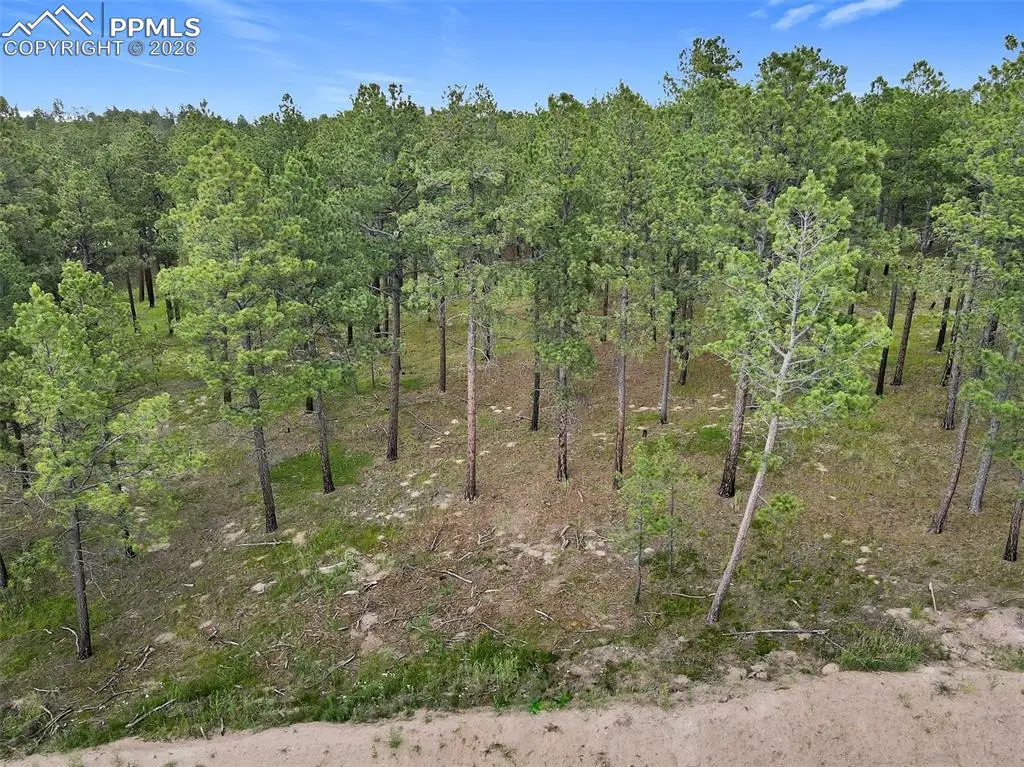 14983 Bourbon Court, Colorado Springs, CO 80908 - #1