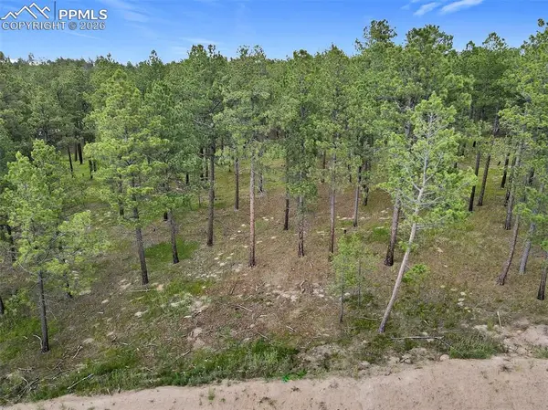 14983 Bourbon Court, Colorado Springs, CO 80908