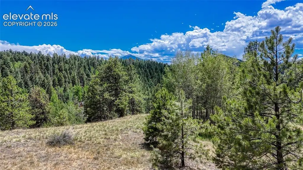 218 Princess Road, Cripple Creek, CO 80813 - #1