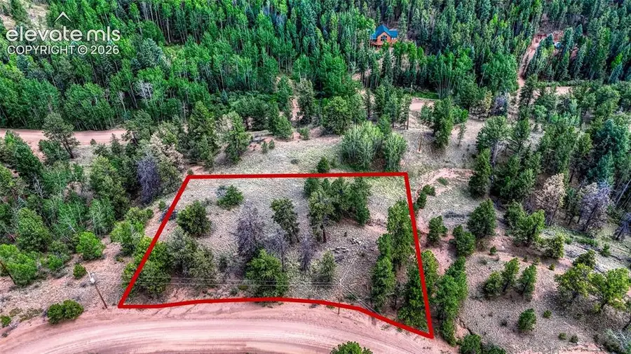 218 Princess Road, Cripple Creek, CO 80813 - #3