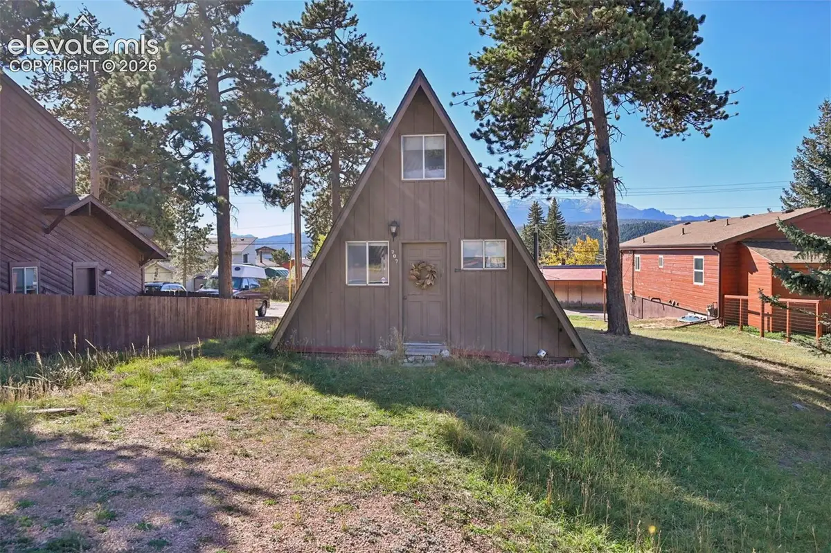 207 E Lake Avenue, Woodland Park, CO 80863 - #1