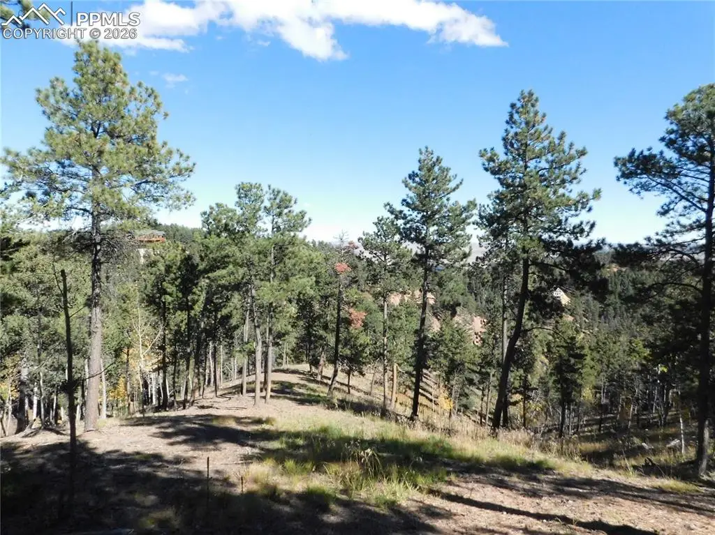 13886 Boulder Lane, Larkspur, CO 80118 - #1