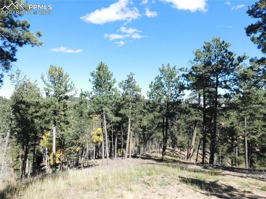 13886 Boulder Lane, Larkspur, CO 80118 - #2