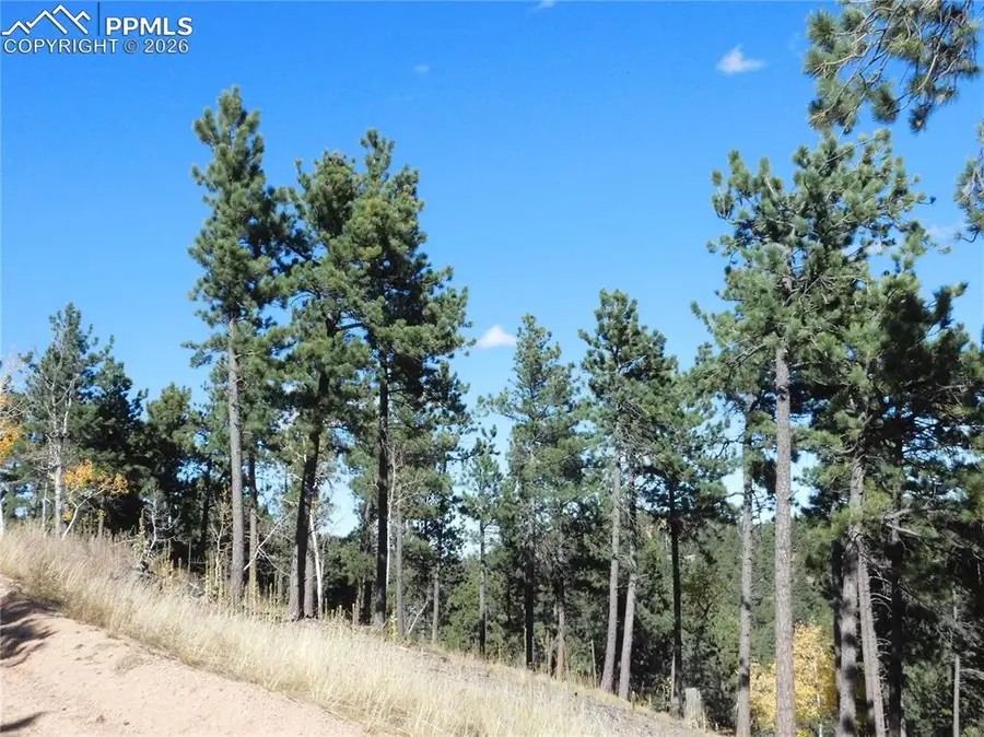 13886 Boulder Lane, Larkspur, CO 80118 - #3